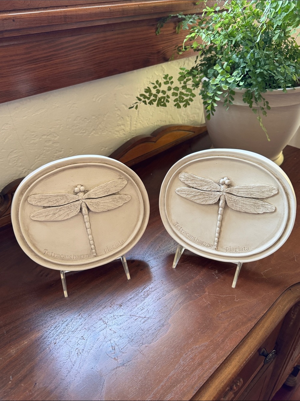 House Parts Inc Dragonfly Plaques Wall Decor One Set of Two (2)